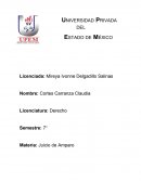 Trabajo: Critica Libro “HOMO VIDENS”