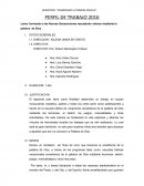 PERFIL DE TRABAJO Lema: formando a las Nuevas Generaciones rescatando valores mediante la palabra de Dios