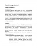 Diagnóstico Organizacional , Desarrollo y transformación