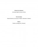 Modelos filosóficos de la educación: Realismo, Naturalismo e Idealismo