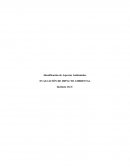 Identificación de Aspectos Ambientales EVALUACIÓN DE IMPACTO AMBIENTAL