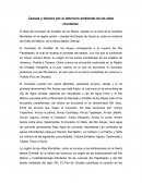 Causas y efectos por el deterioro ambiental de las altas montañas