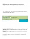 Prueba penal EL JUEZ EN MATERIA PENAL ¿Cómo VALORA LAS PRUEBAS?