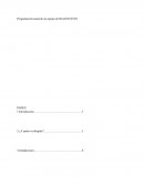 Programación anual de un equipo de BALONCESTO