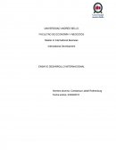 ENSAYO DESARROLLO COMERCIAL