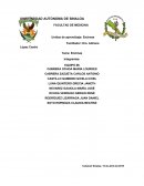 Las enzimas son proteínas catalizadoras que se encargan de aumentar la velocidad de una reacción química