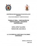 Asociación en participación y sociedad unipersonal