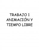 Historia de la animación sociocultural