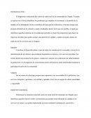 Diagnostico situacional del centro de salud rural de la comunidad de Chapab, Yucatán