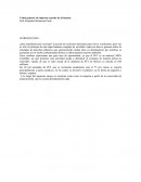 Cómo generar tu empresa a partir de la basura.