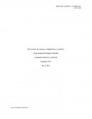 De los actos de comercio, obligaciones y contratos.
