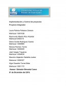 Implementación y Control de proyectos Proyecto Integrador