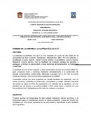 NOMBRE DE LA EMPRESA: LoverPlant S.A de C.V. HISTORIA