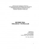 Informe final Vigilancia y Patrullaje