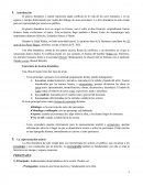 Genero dramatico o teatral