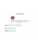 Administracion y Organizacion TRABAJO INDIVIDUAL