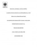 Perfil de egreso Lic. Educ.Esp