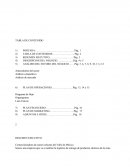 Plan de ventas. Comercializadora de carnes selectas del Valle de México.