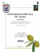 APLICACIÓN DE LA METODOLOGIA DE LA ECONOMETRÍA AL MODELO DE LA TELARAÑA