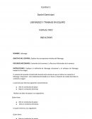 Explicar las concepciones iniciales del liderazgo