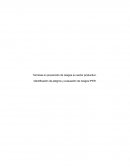 Identificacion de peligro