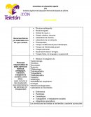 TELETÓN CRIT DE OCCIDENTE