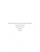 Relación entre empresa mandante y empresas contratistas y subcontratistas