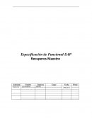 Especificación de Funcional-SAP Recuperos Maestro
