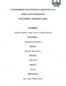 Agricultura Orgánica TEMA: Informe de Practica