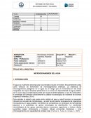 MICROORGANISMOS DEL AGUA