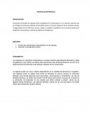 ENCAPSULACIÓN MANUAL