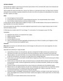 Sistema Urinario. Riñón