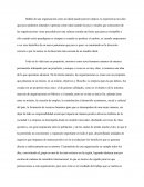 Mi organización ideal