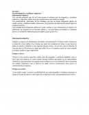 Sección pequeña y medianas empresas