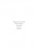 Identificación de Conceptos de Calidad Gestión de Calidad