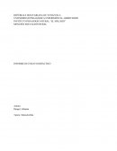 Informe de ensayo didactico