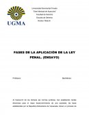 Fases de la aplicacion de la ley penal (Ensayo)