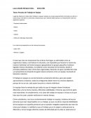 Trabajo en equipo hormigas