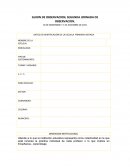 Primer jornada de observacion