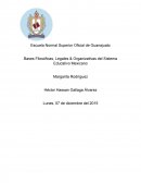 Bases Filosóficas, Legales & Organizativas del Sistema Educativo Mexicano