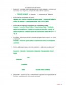 Cuestionario Economia