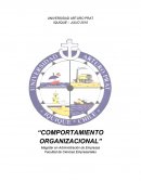 COMPORTAMIENTO ORGANIZACIONAL.