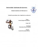 Ensayo de la pelicula juegos del hambre