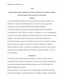 Informe final del estudio etnobotánico de la flora mantenida en los traspatios y jardines rurales del cantón Calvas, provincia de Loja Ecuador