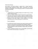 NUEVA CULTURA DEL AGUA ¿Cuál es el origen de la Nueva Cultura del Agua?