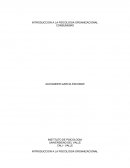 INTRODUCCION A LA PSICOLOGIA ORGANIZACIONAL CONSUMISMO