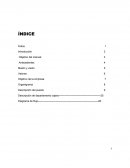 Manual de organizacion