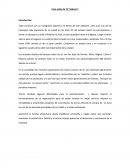 Caso salón de Té “Sabores”