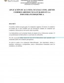 APLICACIÓN DE ALCANOS, CICLOALCANOS, ARENOS E HIDROCARBUROS NO SATURADOS EN LA INDUSTRIA PETROQUÍMICA