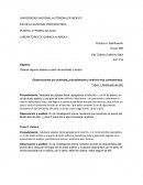 Práctica de química. Butanuato de etilo